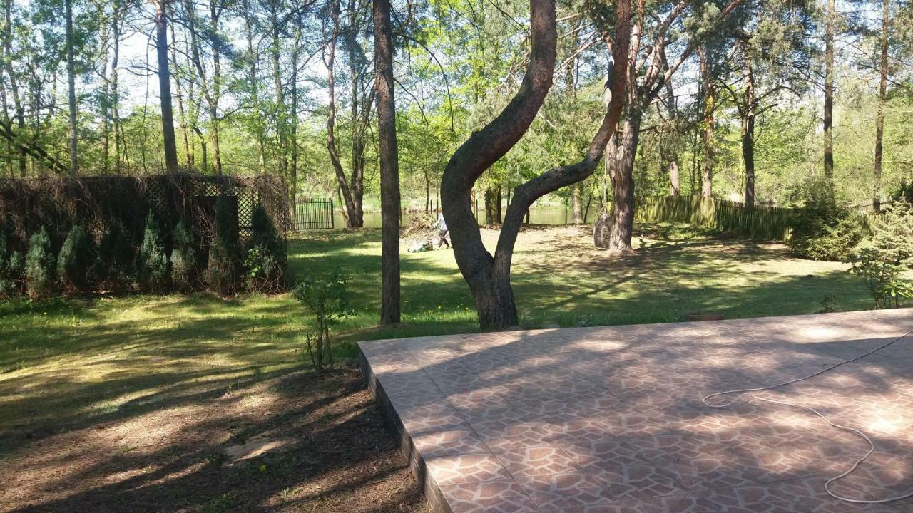 Domek Nad Narwia Dlugosiodlo Exterior foto